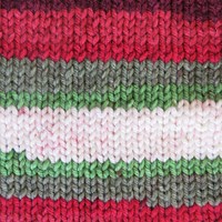 Stylecraft Merry Go Round XL 3812 Holly & Ivy-2