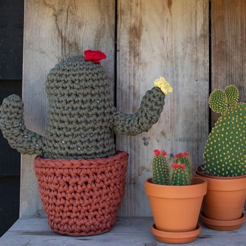 Haakpatroon Zpagetti XL Cactus
