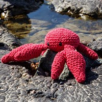 /6/0/600x600_cool-crab.jpg