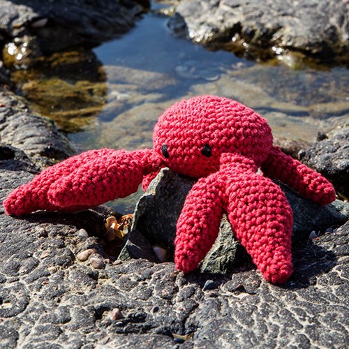 /6/0/600x600_cool-crab.jpg