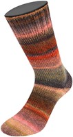 Lana Grossa Meilenweit 100 Rainbow 6404 Roest/nougat/grijs/bosgroen/olijf/oranje/grijs/zwartgroen/grijs-violet/framboos-3