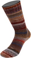 Lana Grossa Meilenweit 100 Rainbow 6406 Notenbruin/grijs/blauw/donkergrijs/oker/kaki/bosgroen/burgundy/antraciet-3