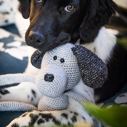 Haakpatroon Knuffelhond Max-3