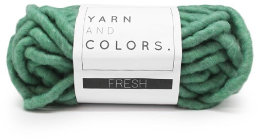 Yarn and Colors Fresh 079 Aventurine