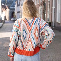 Kleurrijke V-hals Sweater Haakpakket