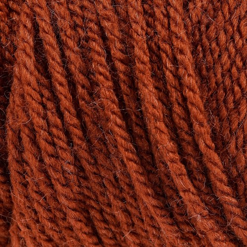 Yarn and Colors Super Amazing 024 Chestnut-2