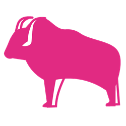 Yak
