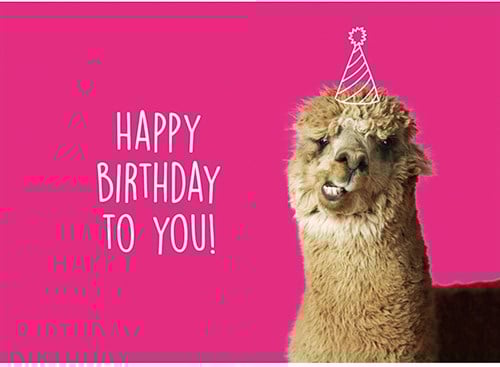 Wolplein Ansichtkaart - Happy Birthday to You!