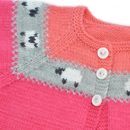 /b/a/baby-vestje-partner-baby-meisje-detail_1.jpg