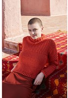 Lang Yarns Wooladdicts #5