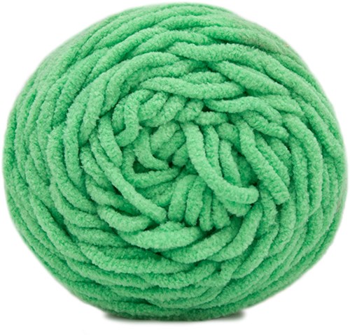 Budgetyarn Chunky Chenille 086 Peony Leaf-2