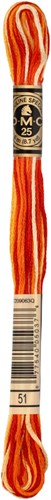 DMC 117MC Mouliné Spécial Borduurgaren 8m 51