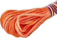 DMC 417F Mouliné Variation Borduurgaren 8m 4124-2