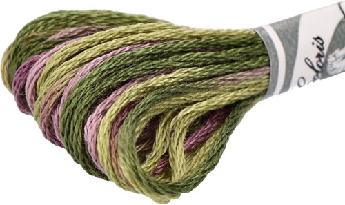 DMC 517 Mouliné Coloris Borduurgaren 8m 4505-2