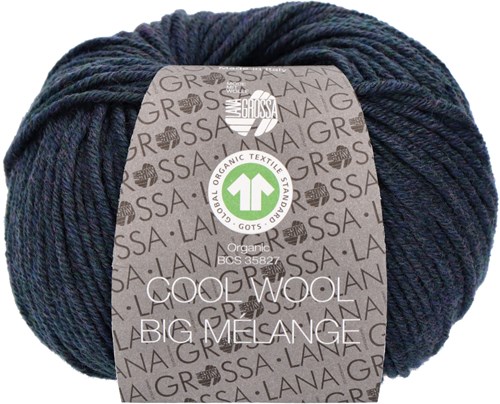 Lana Grossa Cool Wool Big Mélange (GOTS) 204 Blue green mottled