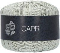 Capri Trui Haakpakket 40/42 029 Green Beige