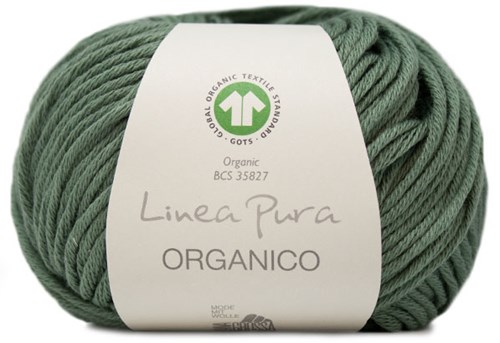 Lana Grossa Organico Uni 130 Reeds Green