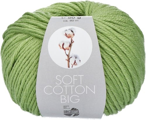 Lana Grossa Soft Cotton Big 11 Light Green