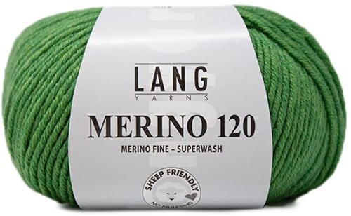 Lang Yarns Merino 120 317 Green Mélange