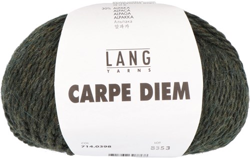 Lang Yarns Carpe Diem 398 Olive Mélange
