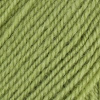 Stylecraft Life DK 2311 Fern-2