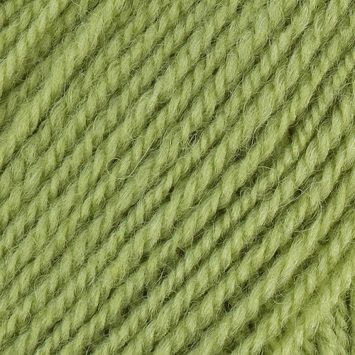 Stylecraft Life DK 2311 Fern-2
