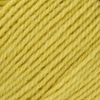 Stylecraft Life DK 2356 Zing-2