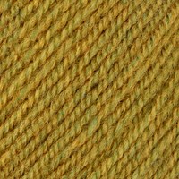 Stylecraft Life DK 2496 Mustard-2