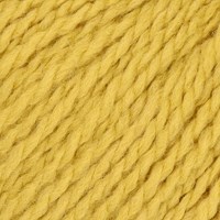 Stylecraft Softie Chunky 3985 Zest-2