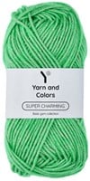 Yarn and Colors Super Charming 086 Peony Leaf