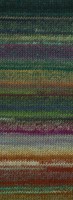 Lana Grossa Colorissimo 216 Lichtgroen,Groen,Benzine,Donker Petrol,Rood,Chocoladebruin,Brugund,Grijs-2