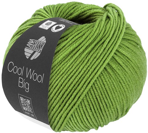 Lana Grossa Cool Wool Big 1022 Klaver groen