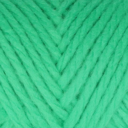 Budgetyarn Chunky Acrylic 086 Peony Leaf-2