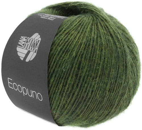 Lana Grossa Ecopuno 001 Lood