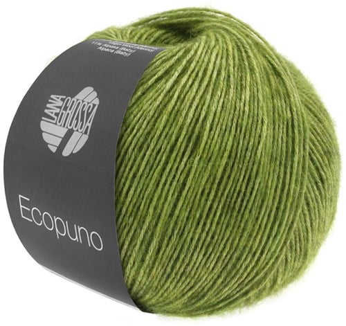 Lana Grossa Ecopuno 002 Appeltjesgroen