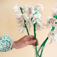 Favorite zomerbloem 6
