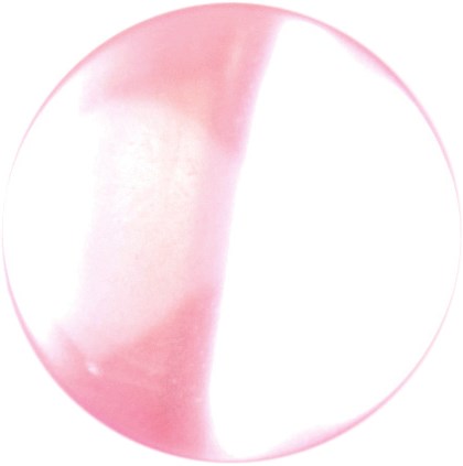 Milward Knoop Parel Roze 16mm (3 stuks)-2