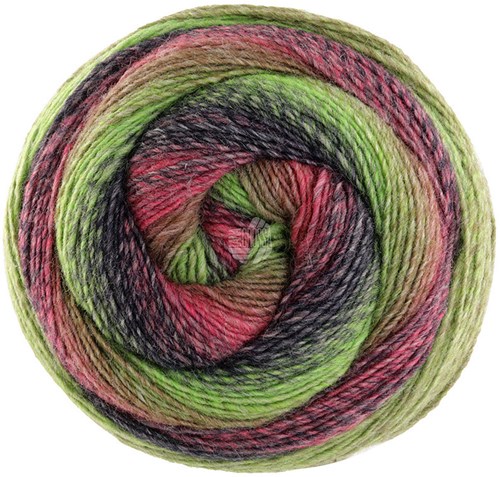 Lana Grossa Gomitolo Versione 449 Fuchsia/Bordeaux/Donker Olijf/Meigroen/Antraciet/Bessen