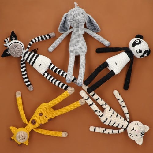 zapp zebra