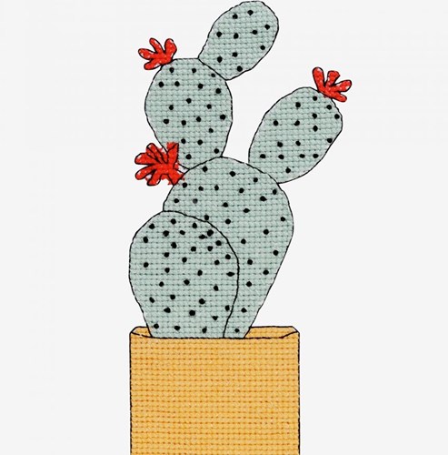 Borduurpatroon Gebloemde Cactus