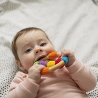 Rammelaar Kleur Haakpakket