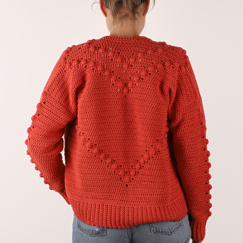 Brick Cardigan XL 023 haakpakket-3