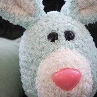 /i/m/img_1149.jpg