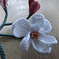 Haakpatroon Magnolia Tak-2