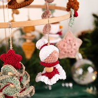 Kerst Adventcalender 2023 wolplein