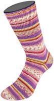 Lana Grossa Landlust Die Sockenwolle 315 Strepen/Jacquard-2