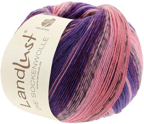 Lana Grossa Landlust Die Sockenwolle 422 Grijs/Apricot/Erica/Roest/Perzik/Paars/Donkerrood/Grijs