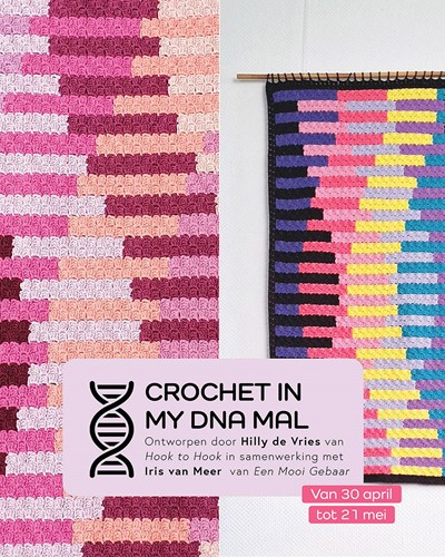Scheepjes Make-A-Long project ‘Crochet In My DNA’-3