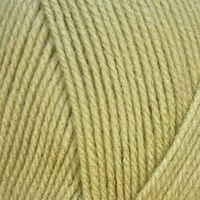 Stylecraft Special DK 2173 Mushy Peas-2