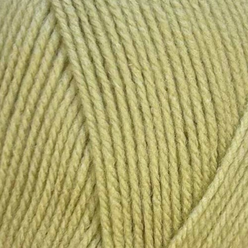 Stylecraft Special DK 2173 Mushy Peas-2